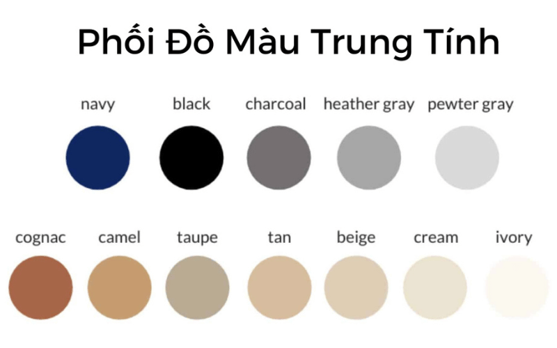 Bảng Màu Trung Tính